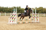 SBM_007724