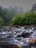 Painted Water