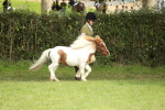 SBM_68524