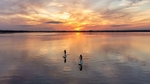 Paddle Boarding on Malahide Estuary, 15.07.2022