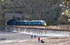 Train passing through the tunnel by Coryton Cove Beach in Dawlish