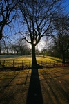 Kelvingrove Park, Glasgow