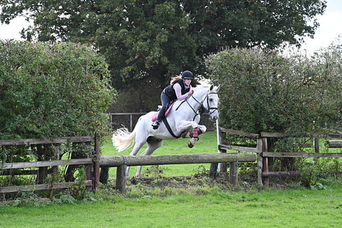 WJ7_9587