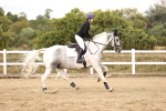 SBM_008491