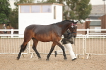 SBM_07757