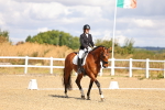 SBM_003649