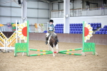 SBM_000221
