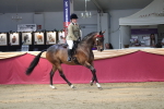 SBM_02955