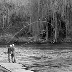 river severn shrewsbury