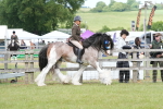 SBM_17636
