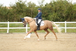 SBM_018494