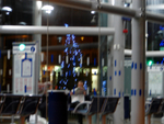 Christmas Lights - 18