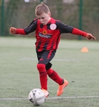 Dalton Juniors portfolio