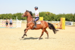 SBM_001094