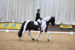 SBM_002351