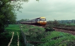 19th May 1991