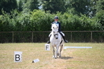 WJ6_3363
