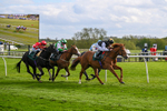 240424-Race 6-Red Mirage-8390