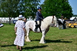 SBM_19393