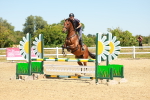 SBM_006530
