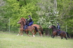 WJ6_2054