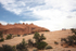 View of Canyonlands