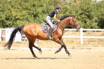 SBM_000544
