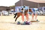 SBM_001930