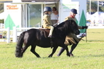 JPP_0678