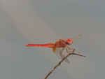 P1045858