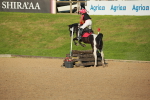 SBM_28966