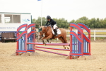 SBM_008285