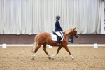 SBM_000366