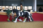 SBM_09737