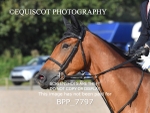 BPP_7797