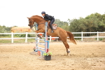 SBM_003304