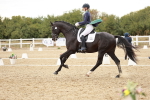 SBM_006923