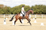 SBM_009864