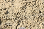 251004A-121214-00943