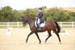 SBM_020321