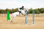 SBM_005861