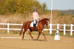 SBM_008783