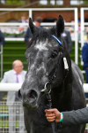 190523-Race 5-Mostabshir-0691