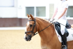 SBM_007754