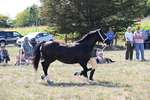 WJ6_4869