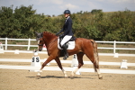SBM_001460
