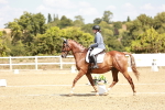 SBM_018157