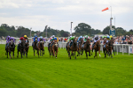 210824-Race 1-Jm Jungle-4474
