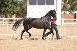 SBM_06856