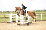 SBM_006380